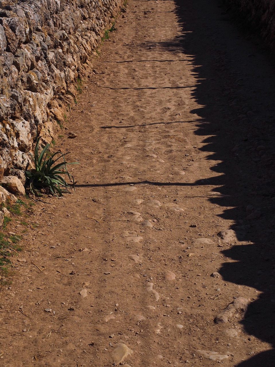 découvrez des solutions professionnelles pour vos projets de cloisons sèches (drywall), avec des conseils d'installation, des matériaux de qualité et des astuces pour un résultat impeccable.