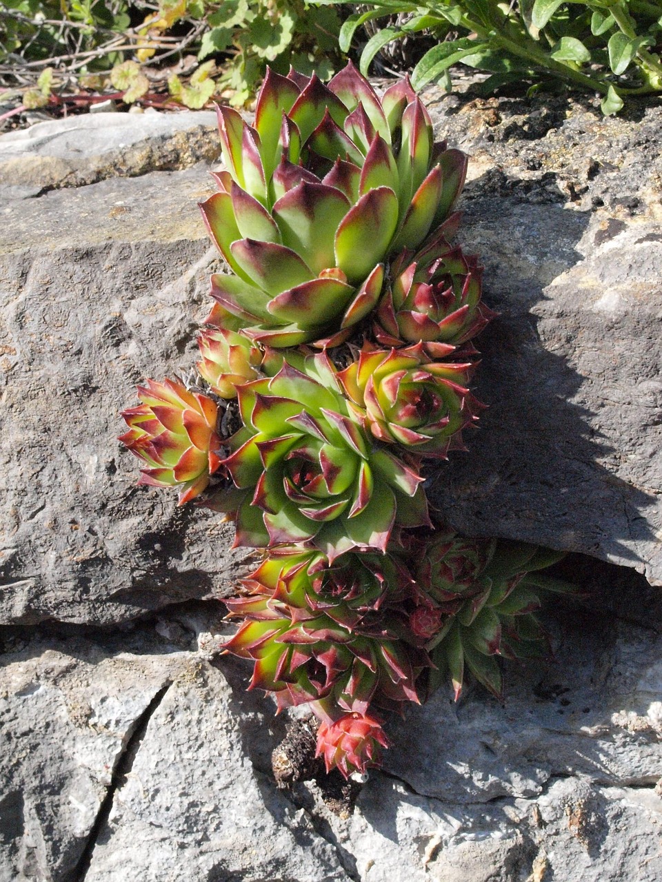 découvrez nos solutions professionnelles pour la pose et la finition de drywall. qualité, rapidité et durabilité pour tous vos projets de construction et rénovation.