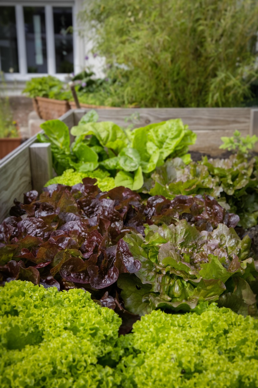 découvrez comment créer un jardin surélevé pour optimiser l'espace, améliorer la qualité du sol et faciliter l'entretien de vos plantes.