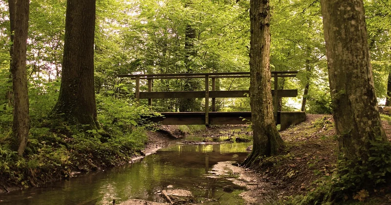 Bois massif ou composite : le comparatif honnête