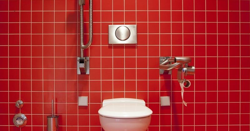 Vers noir dans les toilettes : causes et solutions efficaces