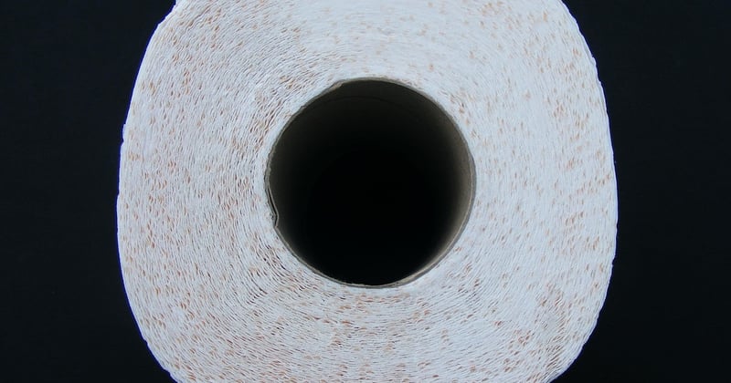 Vers noir toilette : d'ou vient ce probleme et comment le regler