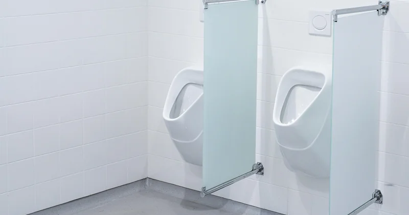 Vers dans les toilettes après absence : que faire au retour ?