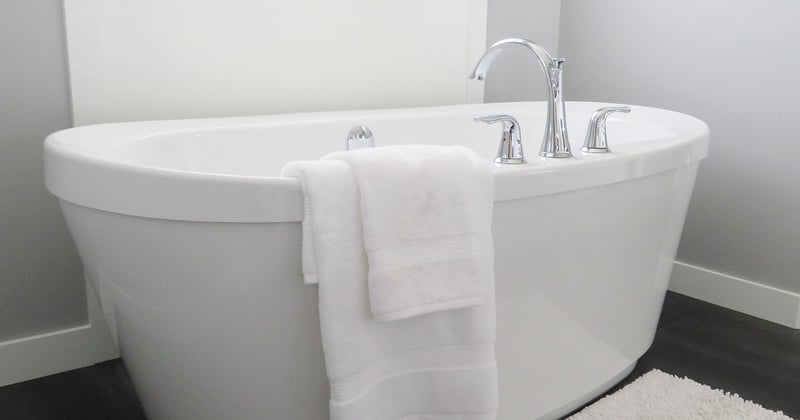 Ver très fin dans les toilettes : d'où viennent ces petits vers ?