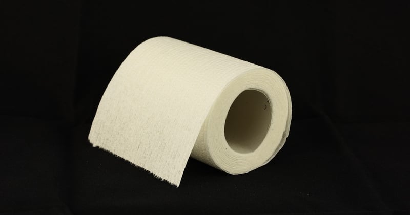 Vers noirs toilettes : pourquoi votre cuvette noircit et comment y remedier