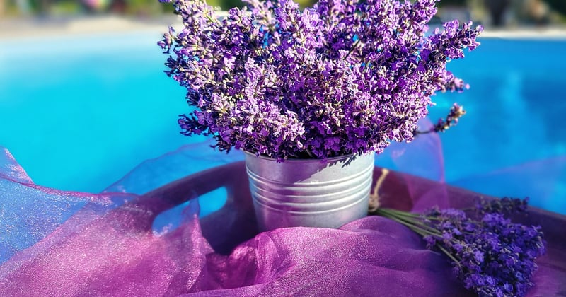 Camouflage piscine tubulaire : 7 idées pour la rendre invisible