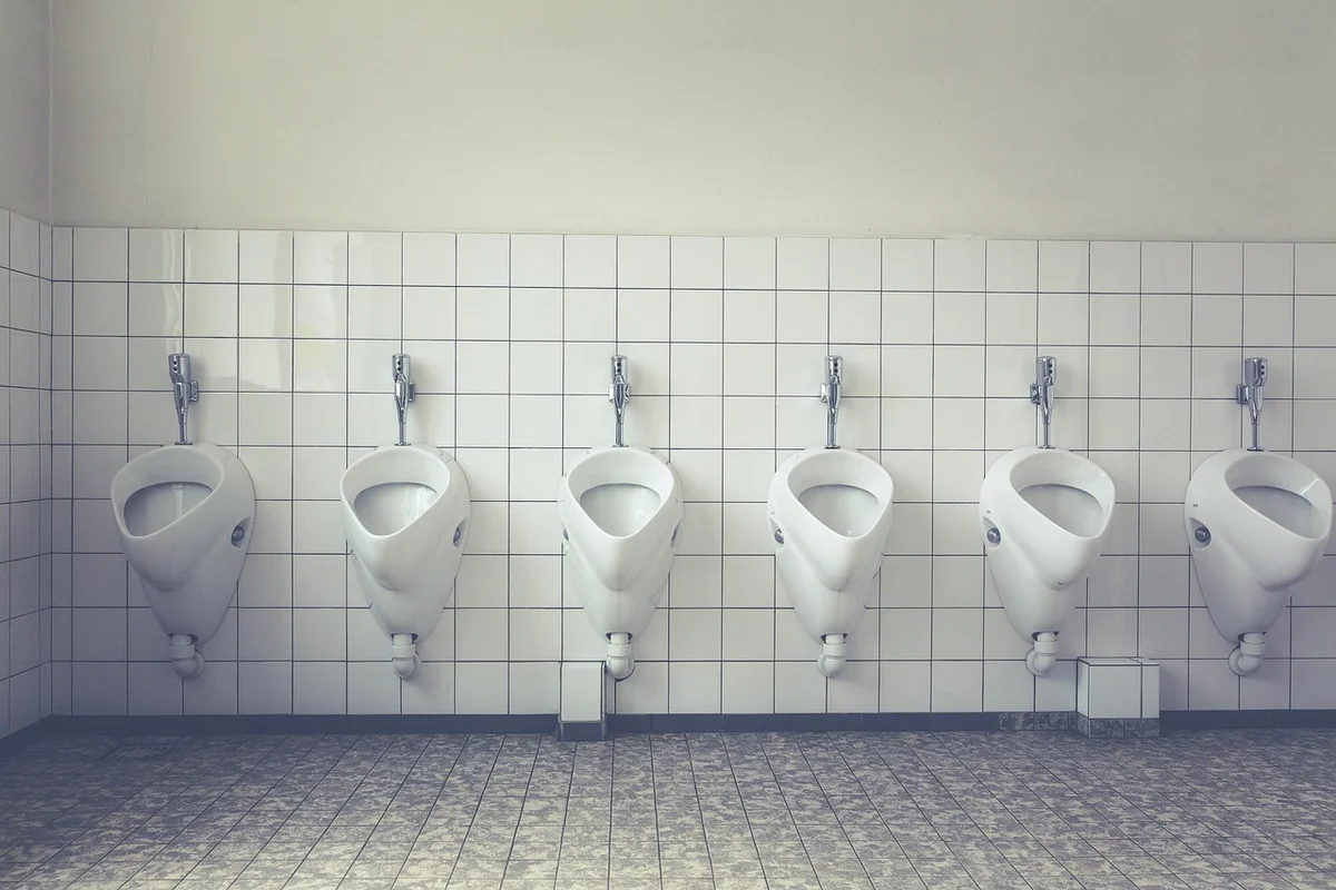 toilette