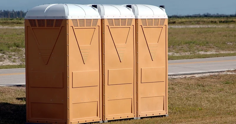 Pourquoi ai-je des vers dans les toilettes ?